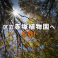 「区立赤塚植物園へ GO!」 グループのロゴ